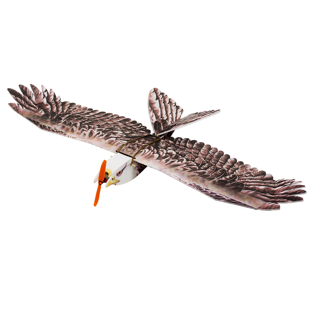 DW Hobby Eagle II EPP avion RC - Model Kit Motor avis et prix